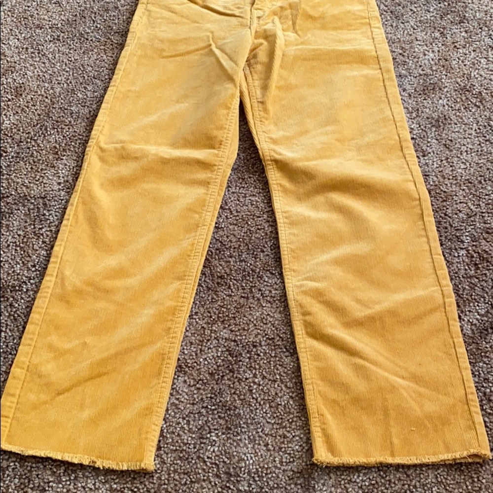 COPY - H&M women velvet pants. - Picture 3 of 7